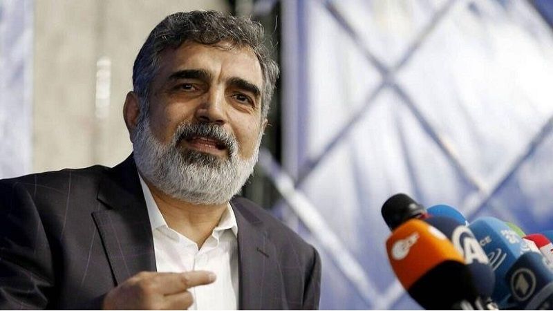 إيران تنصح مدير الوكالة الدولية الذرية بالتخلي عن مواقفه &quot;العاطفيّة&quot;