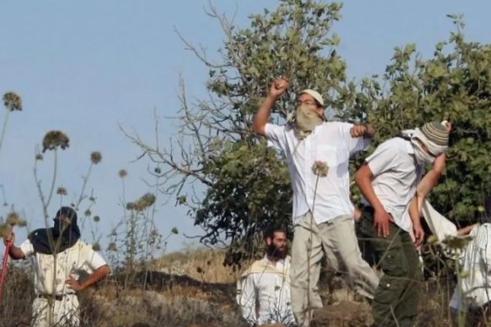 محلل صهيوني: قنبلة موقوتة من الداخل: الإرهاب اليهودي يُتهدد 