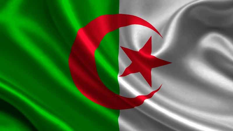 الجزائر ردًا على الأمم المتحدة: إعادة المهاجرين للحدود قضية أمن قومي