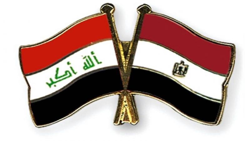 وزيرا خارجية العراق ومصر يبحثان مجمل القضايا الإقليمية  