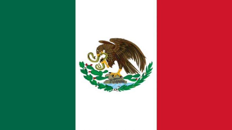 #المكسيك: مقتل وإصابة أكثر من 70 شخصا اثر انفجار خط أنابيب في هيدالجو