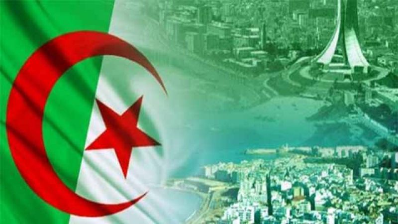 معضلة الجزائر ودروس التاريخ الملزمة بالتفاهم والوحدة