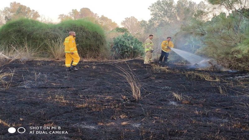 فلسطين المحتلة: اطلاق بالونات من قطاع غزة على نتيفوت