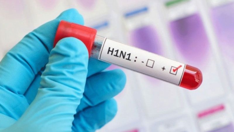 الصحة الفلسطينية: انفلونزا "H1N1" تحت السيطرة