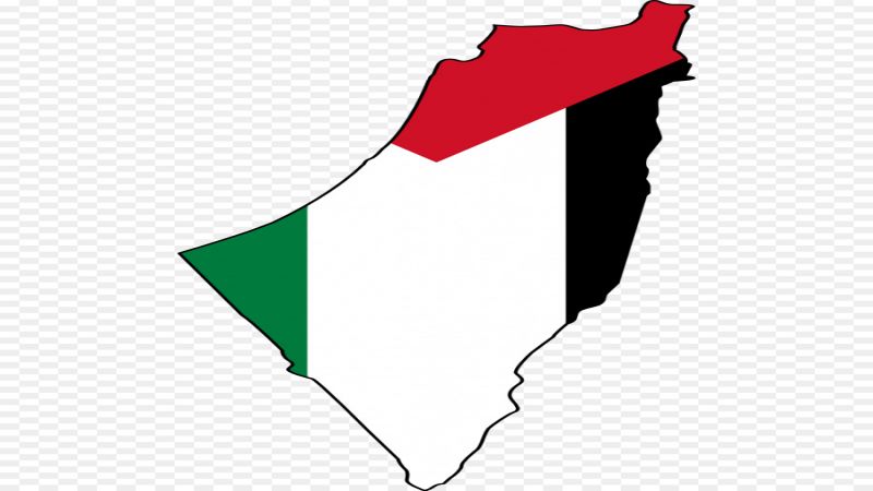 كتائب القسام: المقاومة تعتبر قرار الضم إعلان حرب على شعبنا الفلسطيني
