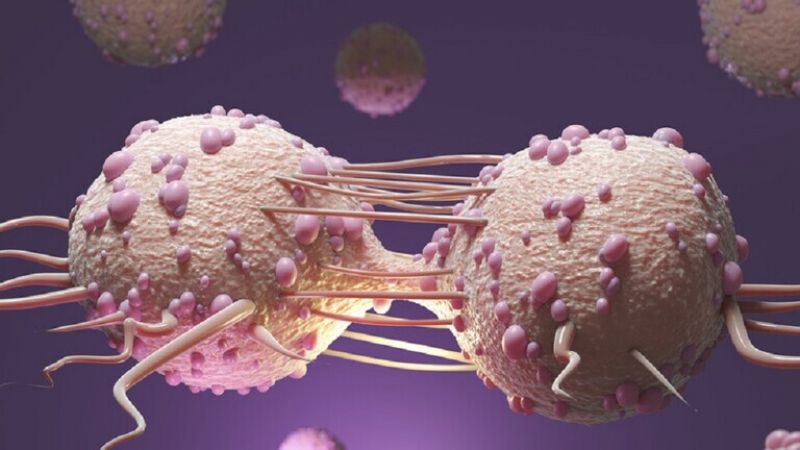 اكتشاف كيفية تكاثر الخلايا السرطانية في الجسم