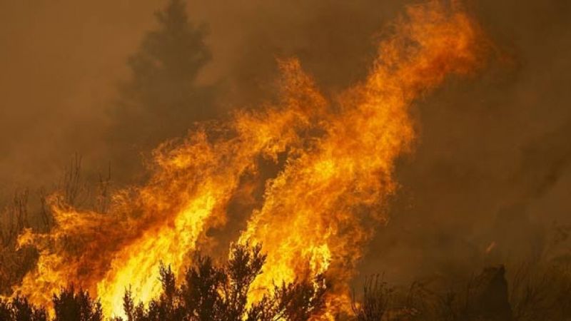 حاكم كاليفورنيا: التغير المناخي هو السبب الرئيسي لحرائق الغابات في البلاد