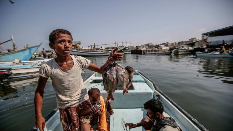 حتى سمك اليمن لم يسلم من العدوان السعودي 