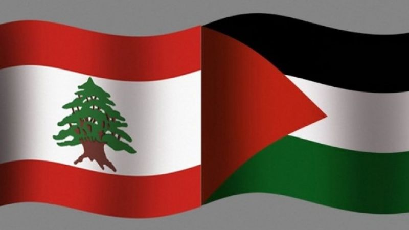 القضية الفلسطينية ومقاومة التطبيع في مناهج الدراسة اللبنانية