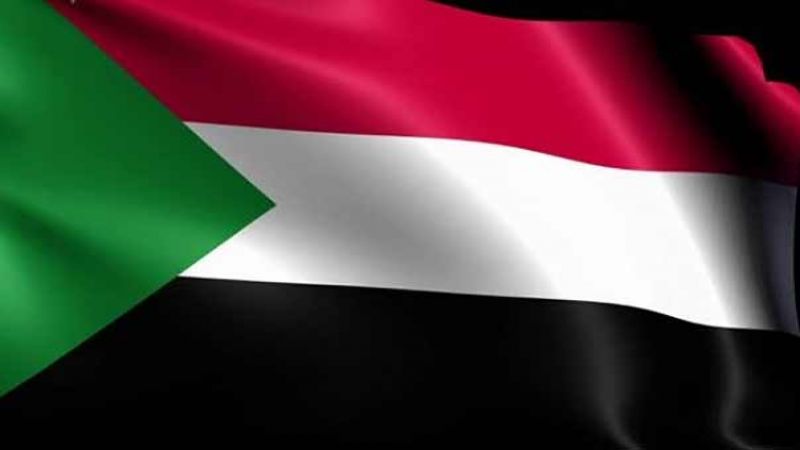 السودان: 10 قتلى في تحطم طائرة في ولاية جونغلي 