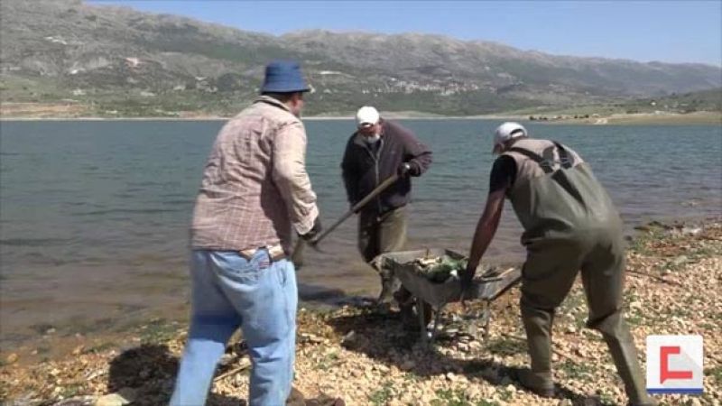 المصلحة الوطنية لنهر الليطاني تنظم حملة رفع الأسماك النافقة من بحيرة القرعون