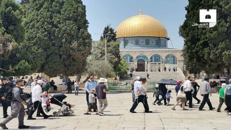 فلسطين: المستوطنون يجددون اقتحامهم لباحات المسجد الأقصى