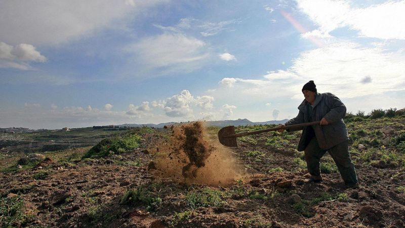 القطاع الزراعي في لبنان: المشاكل والحلول