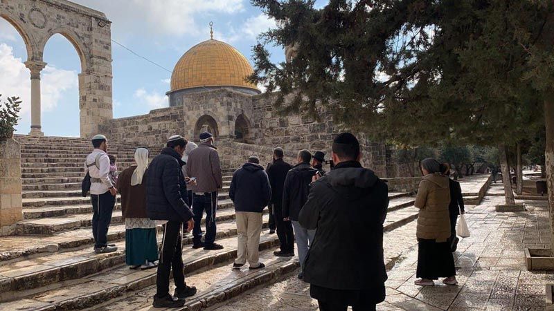 فلسطين المحتلة: أبو حلبية يدين بشدة اقتحام المستوطنين لباحات الأقصى