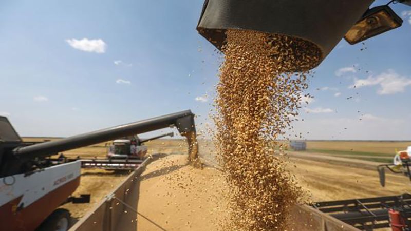 أسعار القمح عالميًا إلى ارتفاع غير مسبوق