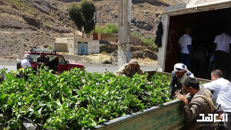 في الأرض المحروقة.. اليمن يأكل مما يزرع رغم العدوان