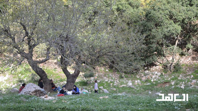 حدائق جنوب لبنان ومحمية الحجير: انجازات تعزز الصمود