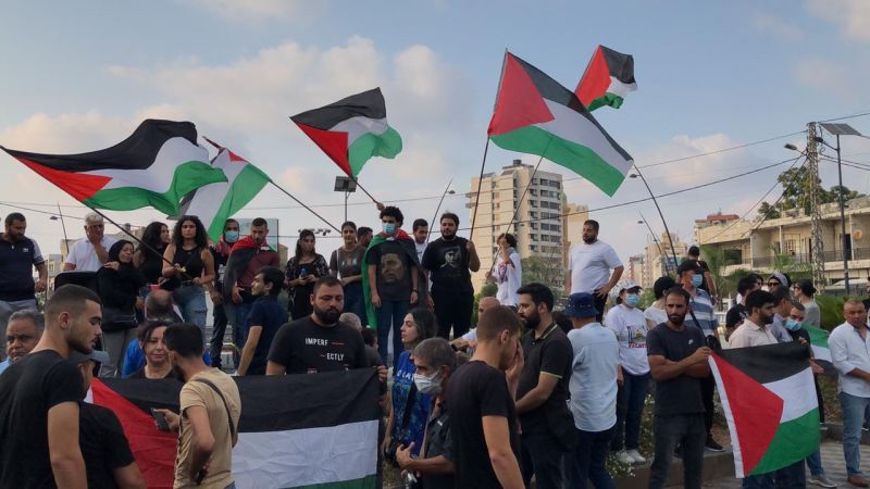 المنظمات الشبابية اللبنانية والفلسطينية في صيدا تنظم وقفة تضامنية مع فلسطين