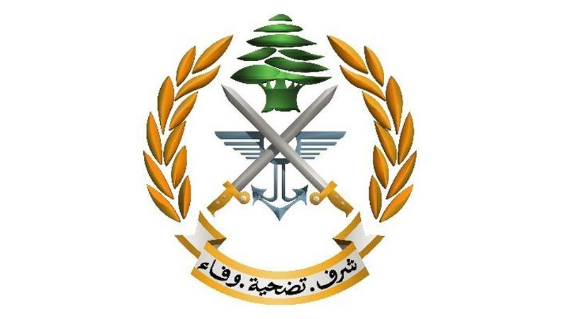 الجيش اللبناني ينفذ عملية دهم في الشراونة ويوقف مطلوبين