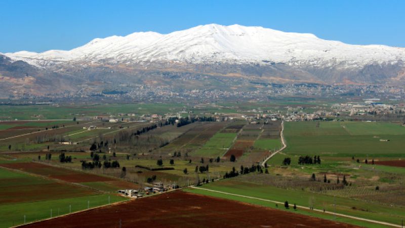 الأراضي المزروعة في لبنان تغطّي أقلّ من 25 في المائة من مساحته&nbsp;
