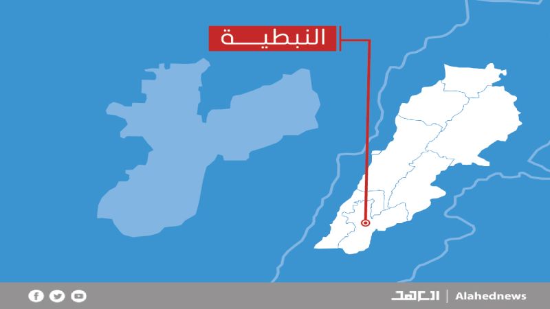 لبنان: تعميم من محافظ النبطية بعدم إعطاء الأذونات بـ"التشحيل" أو قطع الأشجار