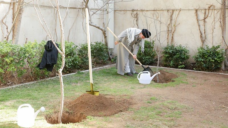 إيران تطلق مشروعًا لزرع مليار شجرة