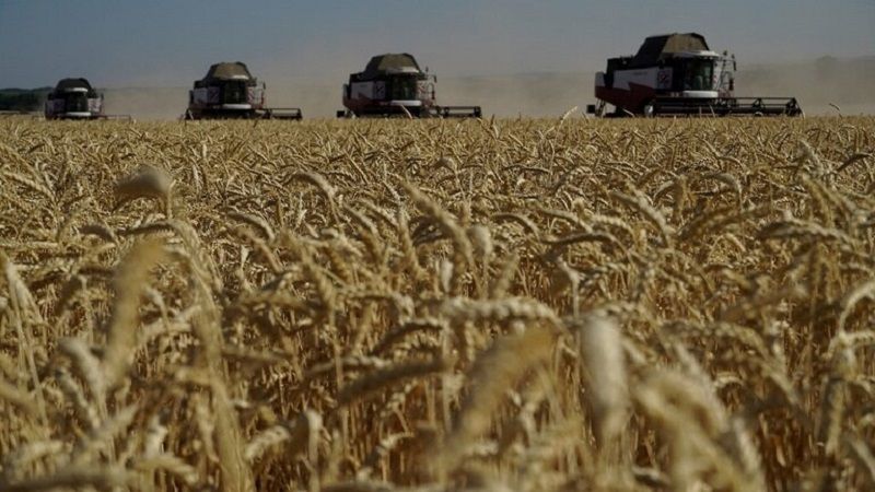 5 شروط روسية لتمديد صفقة الحبوب في أيار المقبل