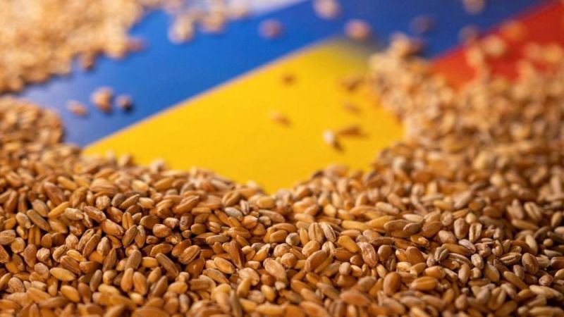 وقف العمل باتفاقية الحبوب.. مدخل لإنهاء الحرب في أوكرانيا؟