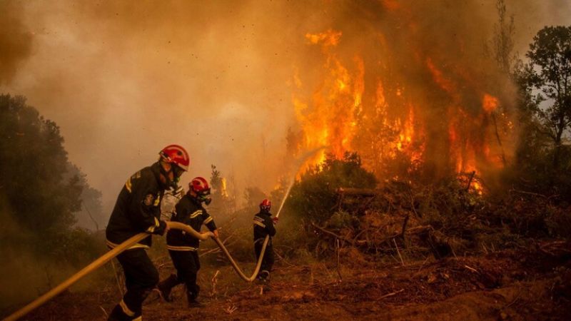 اليونان: إنقاذ 25 مهاجرًا حاصرتهم الحرائق في غابة على حدود تركيا