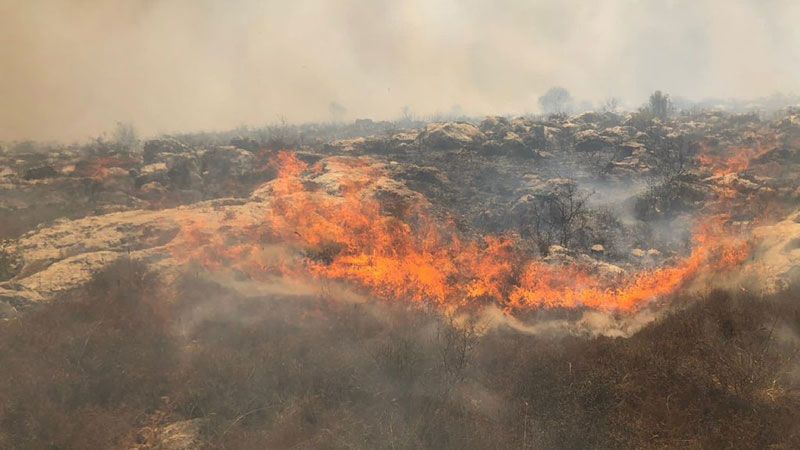 لبنان: حريق في خراج بلدات رومين وصربا وحومين الفوقا اتى على اكثر من 3000 شجرة سنديان وملول وزيتون