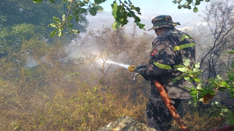 حريق في خراج بلدات رومين وصربا وحومين الفوقا أتى على أكثر من 3000 شجرة 