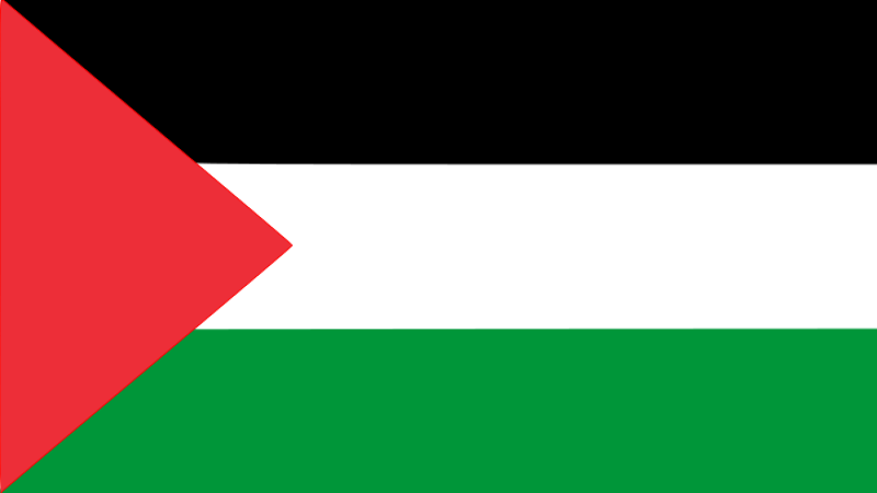 حركة حماس: ندعو دولنا العربية والإسلامية إلى تفعيل كل مقدراتهم وإمكانياتهم انطلاقاً من مسؤولياتهم التاريخية للتحرّك نحو كسر الحصار عن غزة