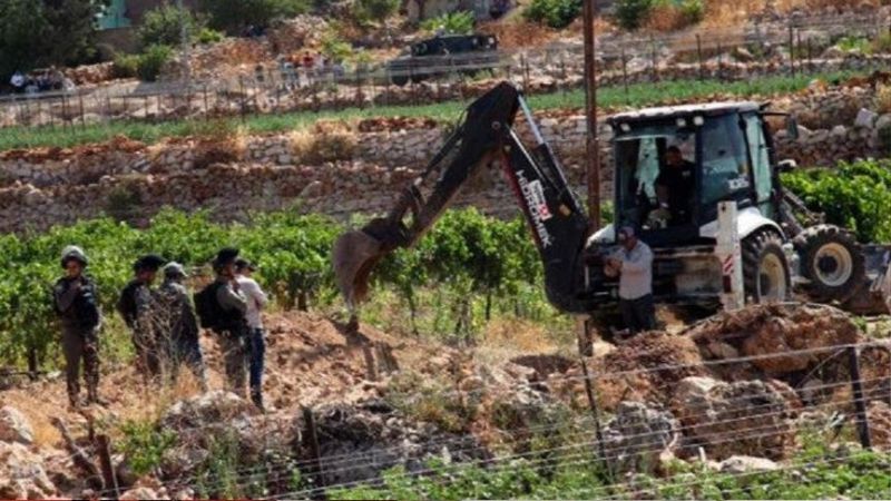 إعلام العدو: 26% من مناطق زراعة الفاكهة في منطقة "خط النزاع" شمالاً ممنوعة من القطف لأسباب أمنية