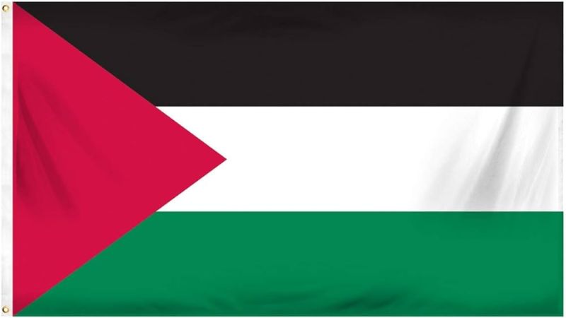 الهلال الأحمر الفلسطيني: الاحتلال يواصل اعتقال 12 من طواقمنا منهم 7 من داخل مستشفى الأمل قبل أسبوع