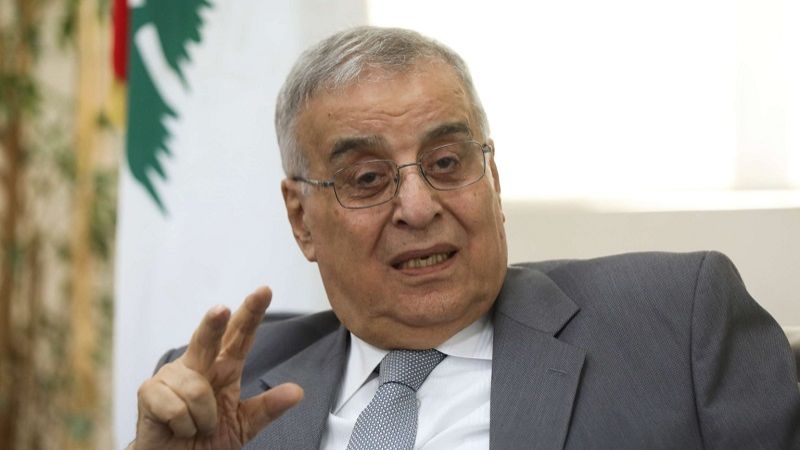 بو حبيب: لبنان لا يقبل بأن تشكّل الأبراج أمرًا عدائيًا تجاه سورية