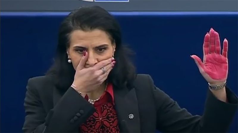صرخة سويدية في البرلمان الأوروبي تضامنًا مع غزة