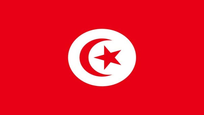 تظاهرة حاشدة في تونس تحت شعار "غزة تجوع" للمطالبة بوقف الحصار والعدوان