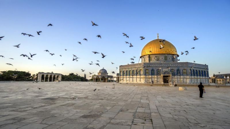 فلسطين المحتلة: 144 مستوطنًا اقتحموا باحات المسجد الأقصى في فترة الاقتحامات الصباحية والمسائية اليوم بحماية شرطة الاحتلال