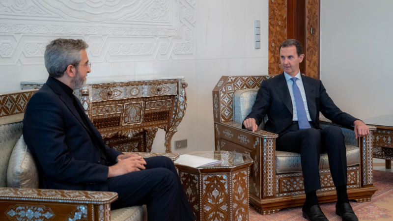 الرئيس السوري يلتقي وزير الخارجية الإيراني بالوكالة: المقاومة هي النهج الصحيح في مواجهة الأعداء