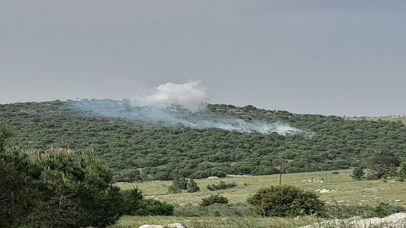 مدفعية العدو الصهيوني تستهدف أطراف بلدة حانين جنوب لبنان