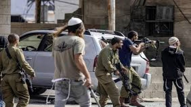مستوطنون يهاجمون مركبات الفلسطينيين على مفترق بلدة تقوع جنوب شرق بيت لحم.