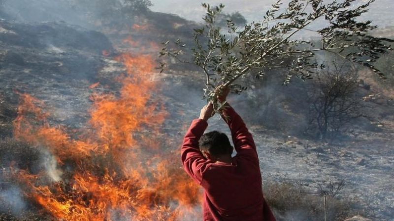 فلسطين| مستوطنون يضرمون النار في مساحات زراعية واسعة في قرية مادما جنوبي نابلس بالضفّة الغربية 