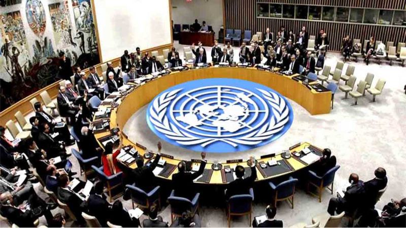 نائبة مندوب فلسطين لدى الأمم المتحدة: خطر "إسرائيل" لا يقتصر على الشعب الفلسطيني وحده 