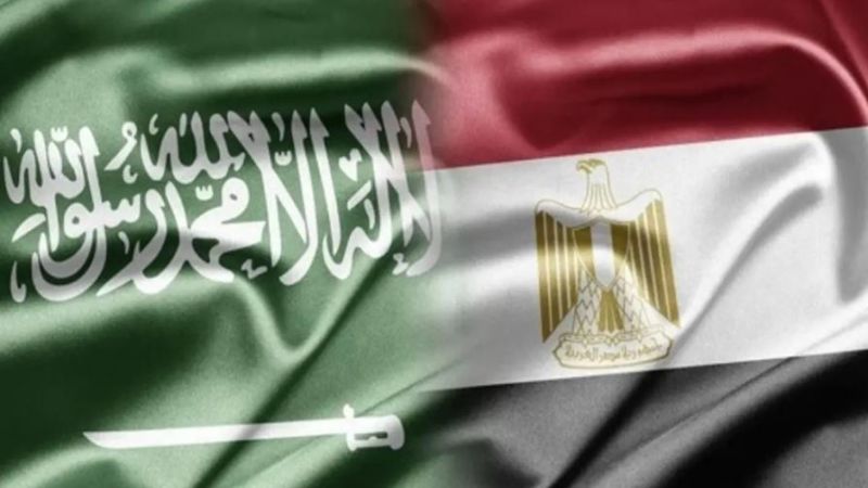 وزير الخارجية المصري يبحث مع نظيره السعودي التطورات الإقليمية