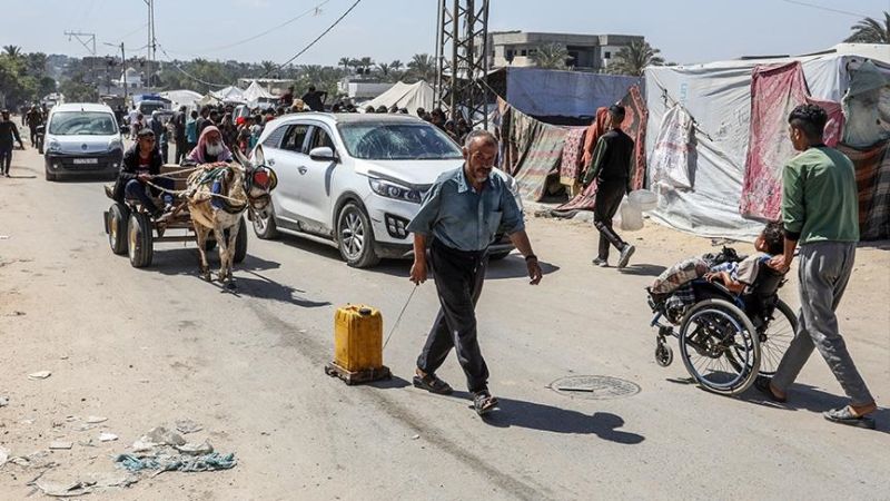 رئيس بلدية دير البلح: تراكم النفايات يُسبّب انتشارًا للأوبئة والأمراض