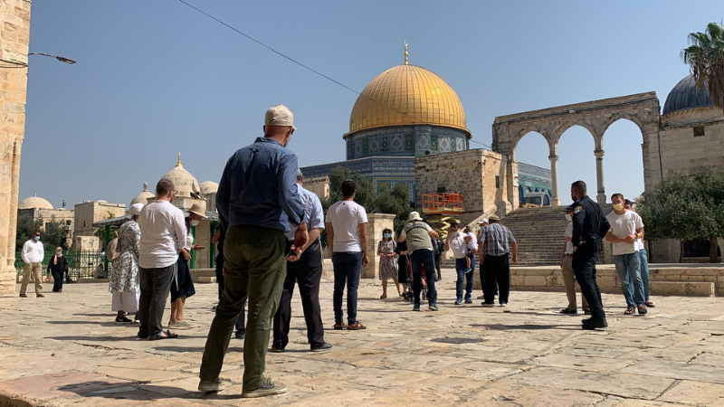 فلسطين المحتلة| مجموعات المستوطنين تقتحم المسجد الأقصى بحماية قوات الاحتلال