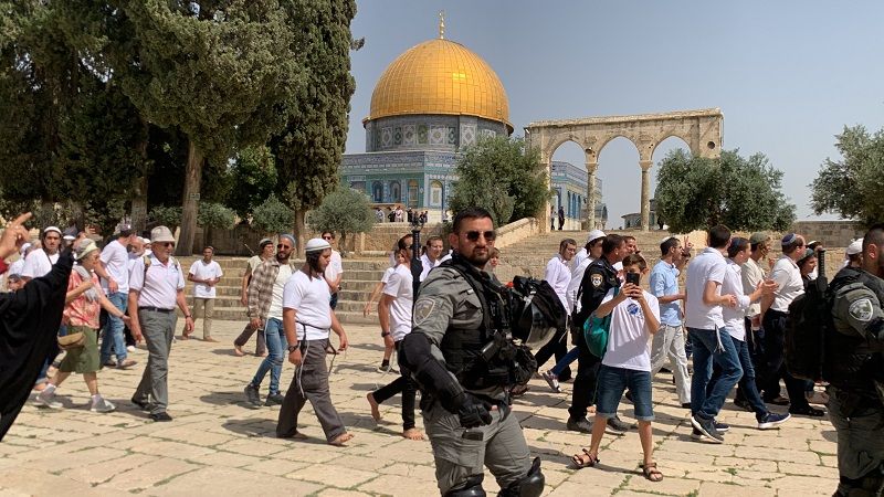 فلسطين المحتلة| منذ صباح اليوم  184 مستوطنًا صهيونيًا اقتحموا ساحات المسجد الأقصى المبارك