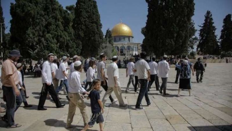 فلسطين المحتلة| مستوطنون يقتحمون باحات المسجد الأقصى بحماية أمنية من قوات الاحتلال