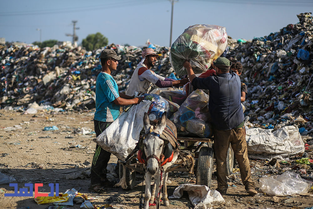 فرز القمامة في غزة.. فرصة عمل