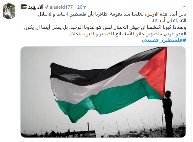 ردًا على تركي الحمد: فلسطين قضيتي